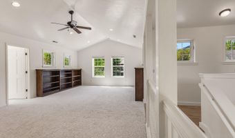 355 Meadow Dr, Basalt, CO 81621