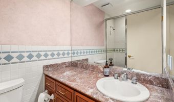 431 W Hopkins Ave, Aspen, CO 81611