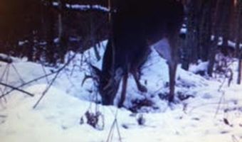 V/L S M-33, Alger, MI 48610