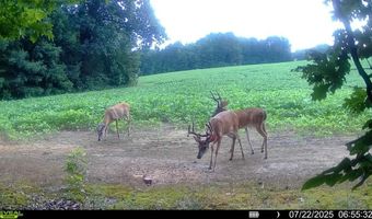 9891 Baskerville Rd, Baskerville, VA 23915