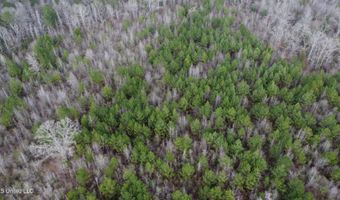 Saint John Road, Braxton, MS 39044
