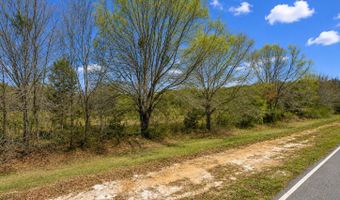 25 69 ACRES Gaissert Rd, Albany, GA 31705