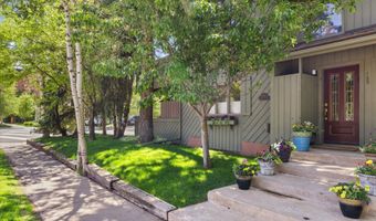 125 E Hyman Ave 1A, Aspen, CO 81611