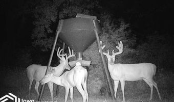 560 Th Ave, Albia, IA 52531