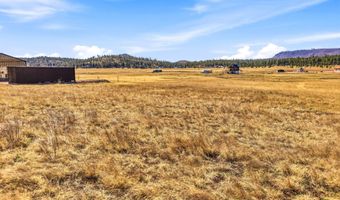 34 County Road 2100, Alpine, AZ 85920