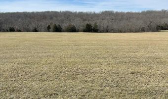 Tract 1 County Road 14-534, Ava, MO 65608
