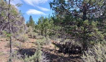 Oriole Drive Lot 12, Bonanza, OR 97623