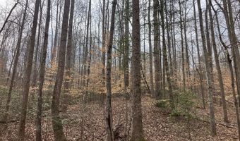 213 Wynn Fry, Big Sandy, TN 38221
