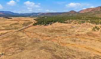 The Ranch at Alpine lot 25, Alpine, AZ 85920