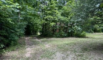 951 E County Road 206, Alton, MO 65606