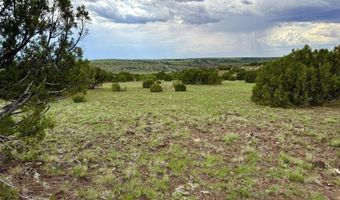 116 Co Rd 8127, Concho, AZ 85924