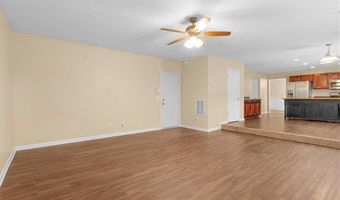 4909 Lily Stem Dr, Auburn, GA 30011