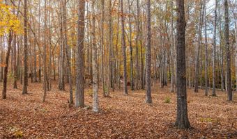 217 W Chapman Rd, Belton, SC 29627