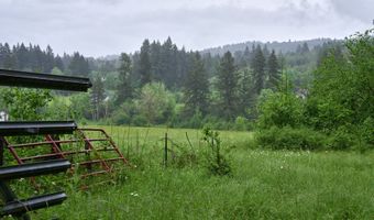 NE 389th St, Amboy, WA 98601