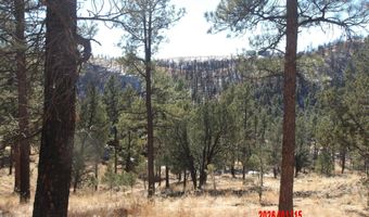 Lake Shore Drive 1, Alto, NM 88312