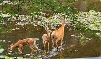 8300 Arapaho Trl SE, Alto, MI 49302