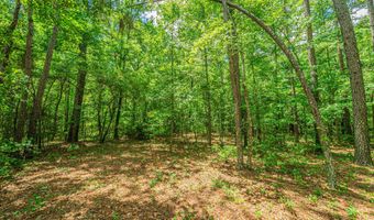 1 Mcalhany Rd, Branchville, SC 29432