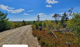 W McMann & Porcupine Hill Road lot 3, Addison, ME 04606