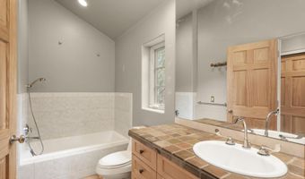 306 Wild Spring Ln, Basalt, CO 81621