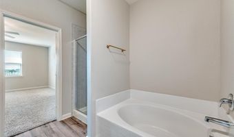 421 Harbor Oaks Dr, Anna, TX 75409