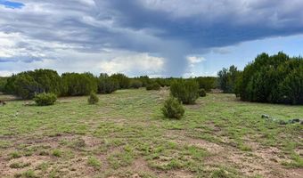 116 Co Rd 8127, Concho, AZ 85924