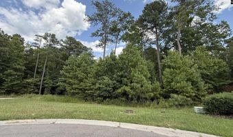 542 Golden Rod Ct, Columbia, SC 29016