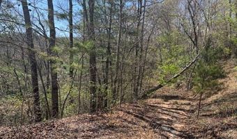 000 Holland Farm Rd, Andrews, NC 28901