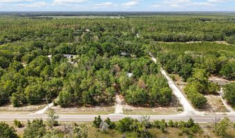 2298 NW 10th St, Bell, FL 32619