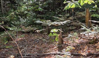 Back Searsport Road, Belfast, ME 04915