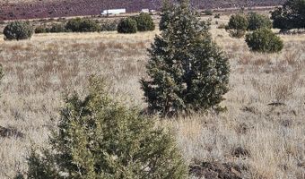 N Picacho Butte Drive, Ash Fork, AZ 86320