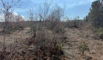 0 35.01 Acres Bacon School Rd, Alma, GA 31510