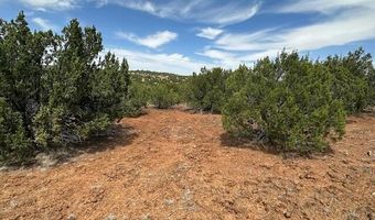 44 County Road 3048, Concho, AZ 85924
