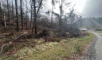 99999 White Pine Ln, Bakersville, NC 28705