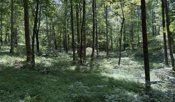 Lot 20 Newpointe Subdivision, Albany, KY 42602