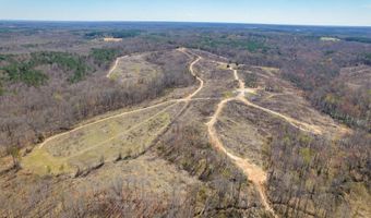 Vista Lane, Bethel Springs, TN 38315