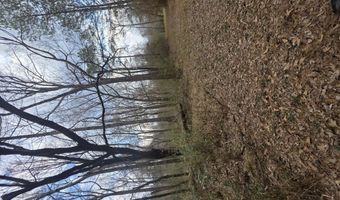 U.S. Highway 51, Bogue Chitto, MS 39629