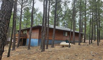 3 County Road 2089, Alpine, AZ 85920