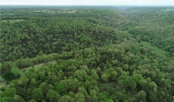 Twin Fork DR, Bergman, AR 72615