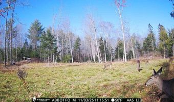 22 Monument Rd, Abbot, ME 04406