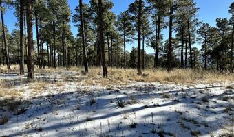 1601 Mechem Dr, Ruidoso, NM 88345