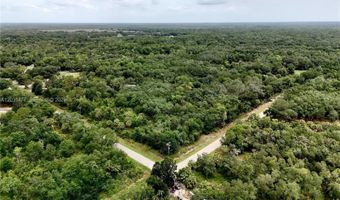 2963 SW Armadillo Trl, Arcadia, FL 34266