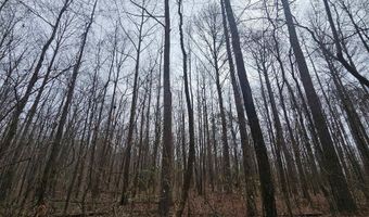 13 Toney Drive, Altoona, AL 35952