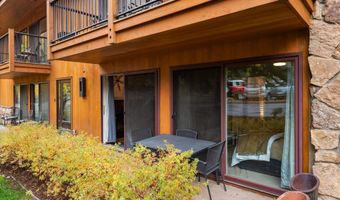 205 E Durant Ave 1-B, Aspen, CO 81611