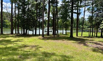 475 Co Rd 411, Abbeville, AL 36854