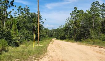 Grand Quiviera Circle lot 11, Alford, FL 32420