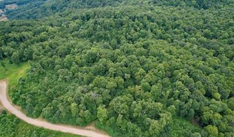 Pheasant Chase lot 3812 81 T, Ararat, VA 24053