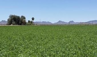 W Desert Rose Road, Arlington, AZ 85322