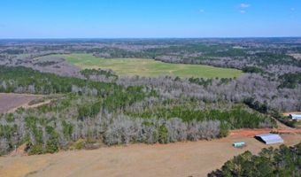 0 Tervin Mill Rd, Andalusia, AL 36421