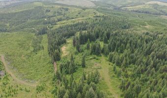 Tbd No Address Per Seller, Calder, ID 83808