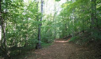 TBA BETTYS BRANCH RD X, Arvonia, VA 23004
